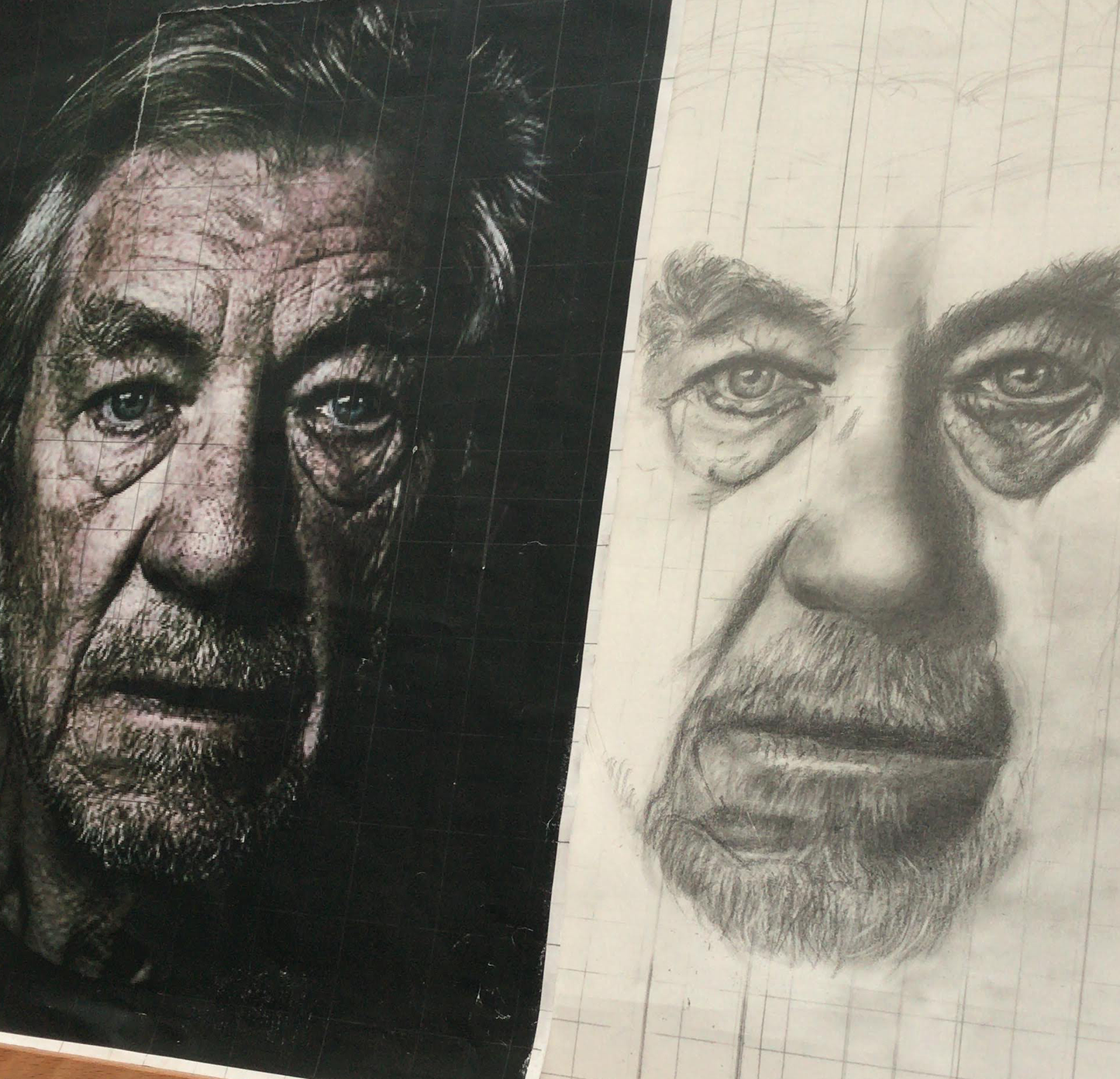 You Shall Not Pass - Sir Ian McKellen Portrait Print